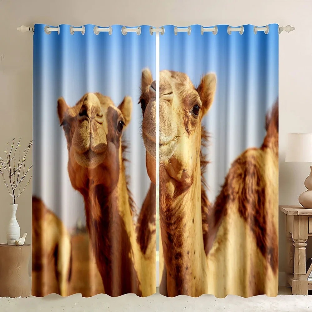 Rideaux de fenêtre Camel, Ride - 3D Printing Cafe avis et prix